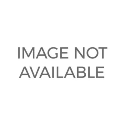 Business in Ethical Focus: An Anthology - Second Edition